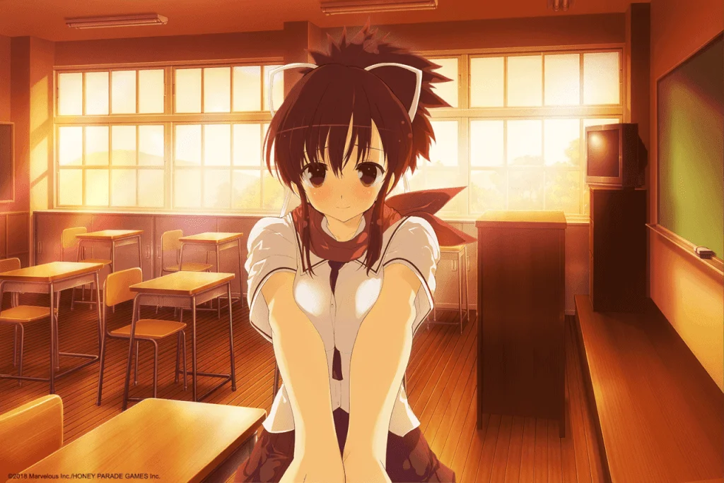 SENRAN KAGURA Reflexions - Key Art