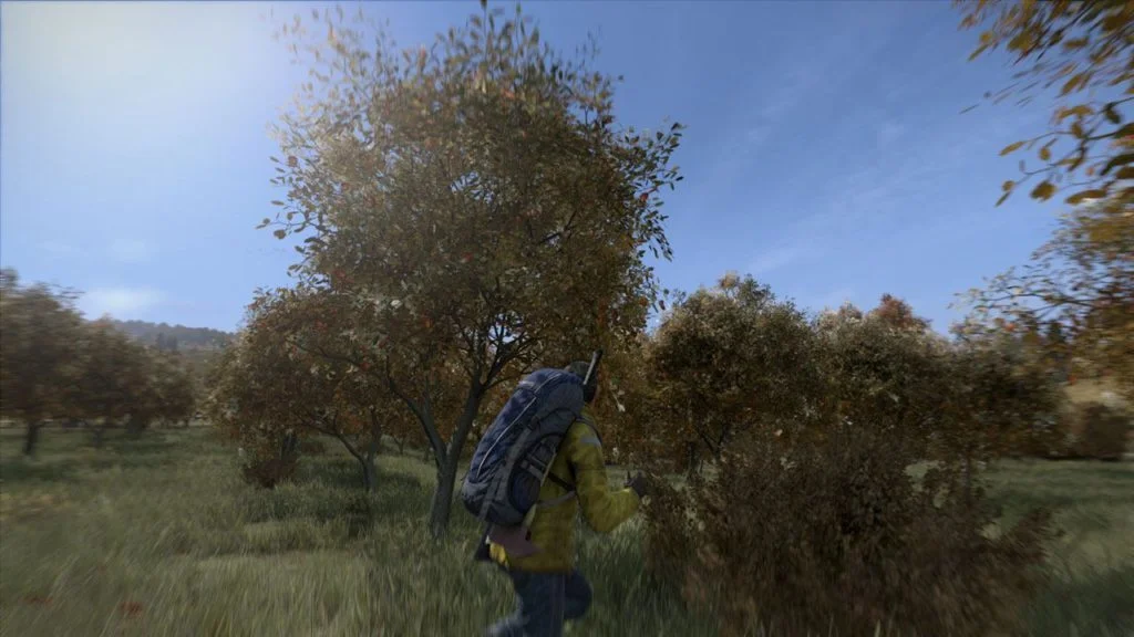 DayZ 04