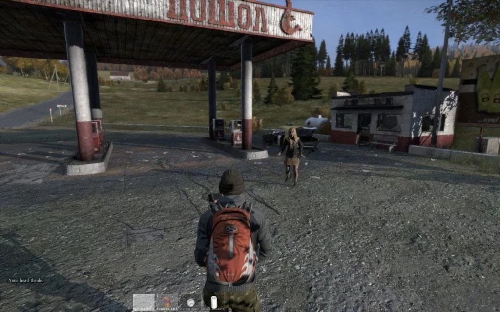DayZ 05
