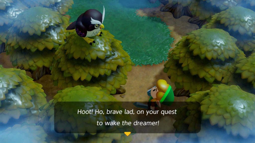 The Legend Of Zelda Link's Awakening Nintendo Switch 08