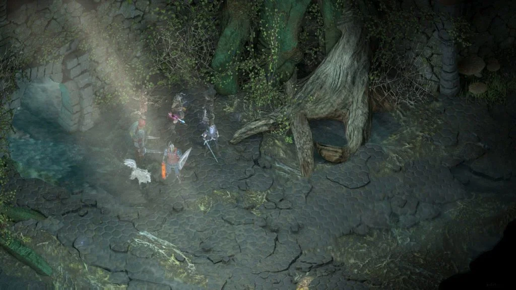 Pillars of Eternity Complete Edition Nintendo Switch Screenshot 02